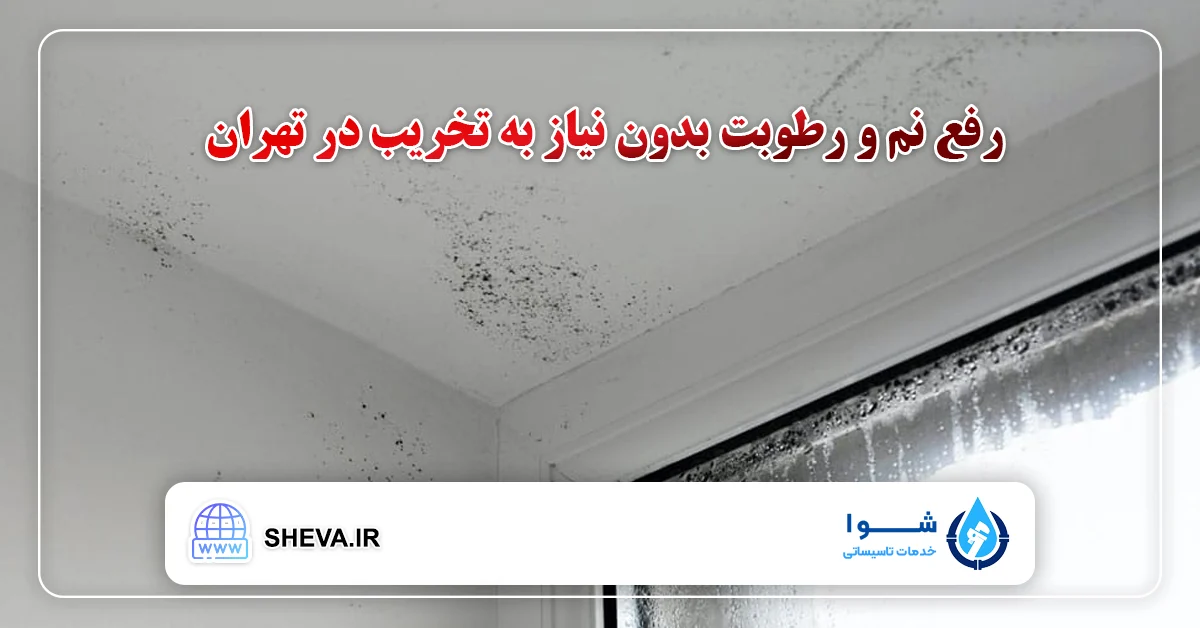 رفع نم و رطوبت بدون نیاز به تخریب در تهران